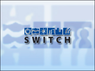 9switch.jpg
